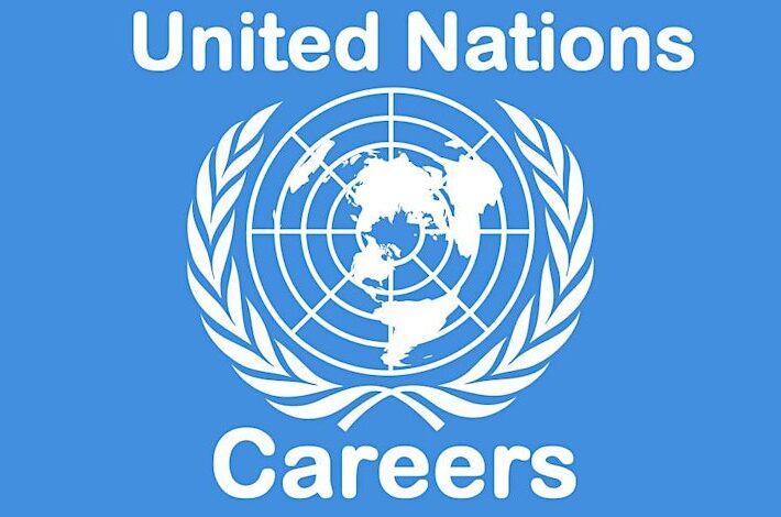 GET A JOB WITH THE UN, NGOs & INTERNATIONAL ORGANISATIONS